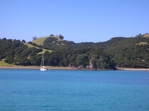 bay-of-islands